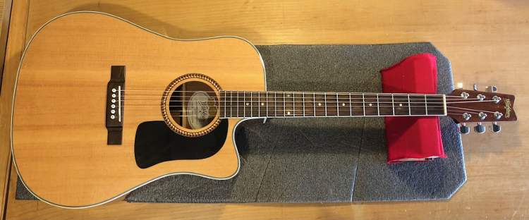 Washburn Acoustic Washburn Acoustic