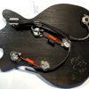 CTS Mini Pots for Epiphone Riviera Guitar Wiring Harness