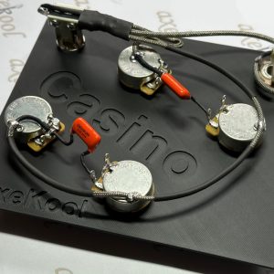 Epiphone Casino Vintage Wiring Harness