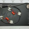 Epiphone Dot CTS Mini Pots Vintage Wiring Harness