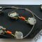 Epiphone Dot Vintage Wiring Harness