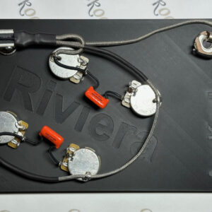 Epiphone Riviera Vintage Wiring Harness