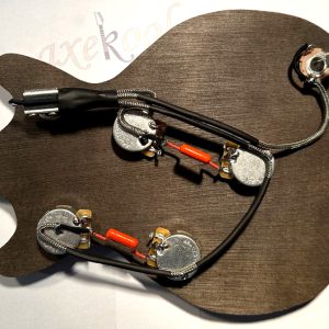 Epiphone Riviera Wiring Harness, Epiphone Riviera Wiring Loom