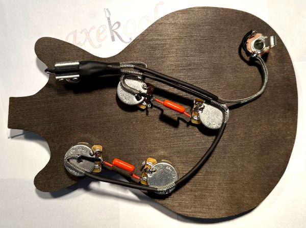 Epiphone Riviera Wiring Harness, Epiphone Riviera Wiring Loom