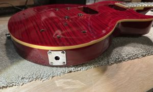 Epiphone Les Paul Standard Pro Complete Upgrade (Axeify)