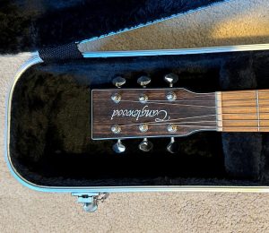Tanglewood Java TWJSFCE Electro Acoustic Guitar