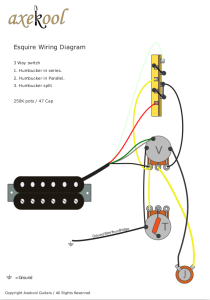 Fender Esquire Wiring Diagram & Fitting Instructions