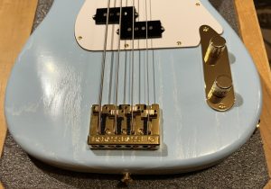 Precision Bass Custom Build, P Bass Custom Build