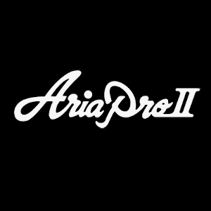 Aria Pro II Guitar Repairs, Setups, Upgrades Cheltenham