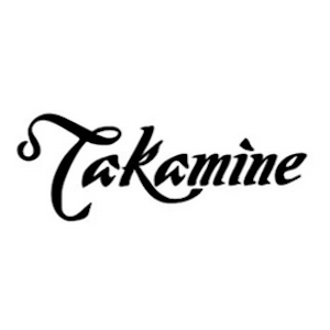 Takamine Guitar Repairs, Setups, Upgrades Cheltenham