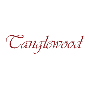 Tanglewood Guitar Repairs, Setups, Upgrades Cheltenham