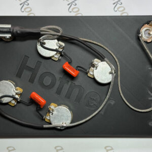 Hofner Hollowbody Vintage Wiring Harness