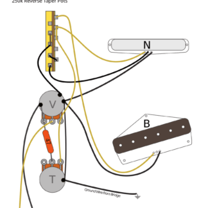 Fender Telecaster Thinline with 4 Way Switch Left Handed Wiring Diagram