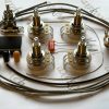 Gibson & Epiphone Les Paul, Peter Frampton Wiring Kit