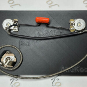 Archtop Vintage Wiring Harness with Single Coil Pickup