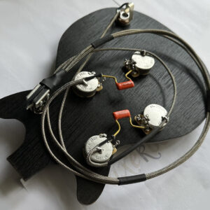 Epiphone Byrdland Elitist Vintage Wiring Harness