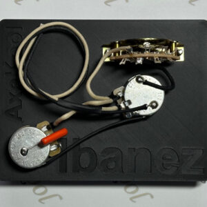 Ibanez HH Series / Parallel Wiring Harness