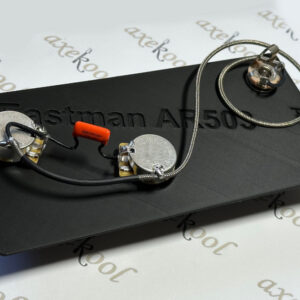 Eastman AR503 Vintage Wiring Harness