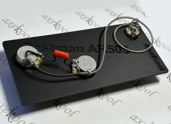 Eastman AR503 Vintage Wiring Harness