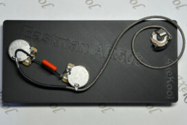 Eastman AR503 Vintage Wiring Harness
