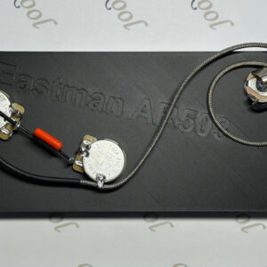 Eastman AR503 Vintage Wiring Harness