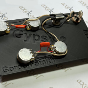 Gordon Smith Gypsy 2 Wiring Harness
