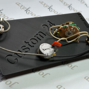 PRS Custom 24 Vintage Wiring Harness