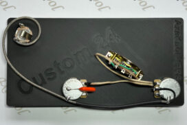 PRS Custom 24 Vintage Wiring Harness