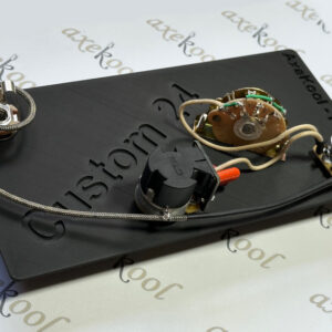 PRS Custom 24 with Coil Split Vintage Wiring Harness