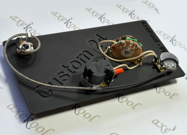 PRS Custom 24 with Coil Split Vintage Wiring Harness