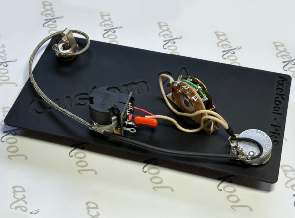 PRS Custom 24 with Coil Split Vintage Wiring Harness